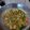 Cooksnap dari Dwindra untuk resep Tumis Buncis Singapore
