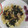 El cooksnap de Marcela Paredes cuando hizo Pasta en 15 minutos.