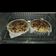 Cooksnap dari Suci Widya untuk resep Muffin Pisang #pr_babananakeik