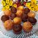 Cooksnap από 𝒳𝓇𝓊𝓈𝑜𝓊𝓁𝒶 𝒦𝑜𝓃𝓉𝑜𝓅𝑜𝓊𝓁𝑜𝓊 στη συνταγή Muffins λεμονιού