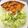 El cooksnap de Nicole Reiss cuando hizo Quiche de Pollo.