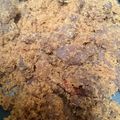 Cooksnap dari Lena Diyah untuk resep Dendeng ragi daging sapi