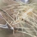 啤酒肚 的 薑絲肉片湯 cooksnap