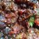 Cooksnap dari emak untuk resep Empal Daging Gepuk