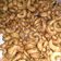 Cooksnap dari Jenny untuk resep Kacang mede goreng gurih empuk