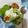 Cooksnap dari Anita Permatasari untuk resep Iceberg Lettuce Salad with Yoghurt Dressing