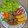 Cooksnap dari Ratna untuk resep Selat Solo