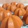 Cooksnap dari Alista Enoch untuk resep 42. Bolu Sakura Tanpa Telur