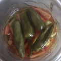 feast by sadia's cooksnap of when they made Green chili achar.