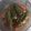 feast by sadia's cooksnap of when they made Green chili achar.