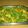 El cooksnap de Lady Marmalade cuando hizo Ensalada agridulce, una receta fácil y rica.