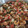 El cooksnap de OBED HERNÁNDEZ cuando hizo Paella valenciana.