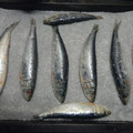 El cooksnap de Raùl Rizo Pacheco cuando hizo Sardinas al horno 🐟.