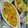 Keya Mandal's cooksnap of when they made মটর পনির (matar paneer recipe in Bengali).
