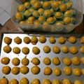 Cooksnap dari FaCa untuk resep Nastar bluband