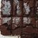 Cooksnap dari Nur Cahyani Syaharuddin untuk resep Eggless Milo Cake with milo buttercream frosting