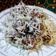 Cooksnap dari Pawon Ibuk untuk resep Klepon Telang Moncrot