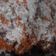 Cooksnap dari Nanda Aulia untuk resep Klepon Ubi Ungu (Tepung Tapioka)