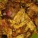 Cooksnap dari Putri Hidayatulloh untuk resep Ayam Suwir Super Pedas