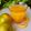 Bina Mithani's cooksnap of when they made ફ્રેશ ઓરેન્જ જ્યુસ (Fresh Orange Juice Recipe In Gujarati).