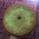 Cooksnap dari Via untuk resep Bolu pandan panggang