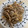 El cooksnap de Laura Ligero Baldomero cuando hizo Macarrones con chanpiñones y pollo .