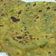 Himadri Bhindora's cooksnap of when they made ઘઉંના મેથી વાળા થેપલા (Wheat Methi Thepla Recipe in Gujarati).