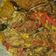Cooksnap dari Bunda Zeilda untuk resep Oseng Jeroan & Telur Ikan Gabus (Haruan) #Dandelion