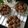 Cooksnap dari Nani Setiati untuk resep Nastar'n Chocolate Chocochips