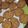 El cooksnap de lamire123 cuando hizo Galletas de zanahoria y avena saludables.