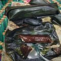 Cooksnap Ziana Chesaad semasa beliau membuat Lepat Liat Inti Kelapa.