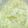 Jayne Suzan's cooksnap of when they made Steamed cabbage.