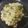 El cooksnap de Gonzalo Martínez cuando hizo Salteado de zapallitos y chorizo.