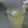 صورة من om rakan ، شاركها بعد تجربة وصفة عصير الليموناضه 🍋🍋