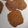 El cooksnap de anabel cuando hizo Galletas de harina de coco y especias.