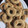 El cooksnap de Nerea NAM cuando hizo Rosquillas al horno. Con Thermomix.