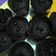 Cooksnap dari Aan nurjannah untuk resep Chocolate cupcakes simple