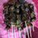 Cooksnap dari grace lengkey untuk resep Sate babi super empuk (non halal)