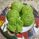 Cooksnap dari Tuti Rosmiati untuk resep Pukis bulat (berseratt banget) 11 12 sama bika ambon 😂😂😂