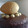El cooksnap de Sara A.Q. cuando hizo Tarta Sacher.