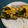 Callie's cooksnap of when they made Avo toast with spinach, scrambled eggs and feta.