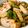 Fox妹 的 瑪莉廚房：糯米椒炒雙乾 cooksnap