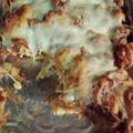 teresastitt33's cooksnap of when they made BBQ Chicken Bubble Up Casserole.