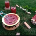 Parul Patel's cooksnap of when they made તરબૂચ ફુદીના જ્યુસ (Watermelon Mint Juice Recipe In Gujarati).