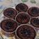 Cooksnap dari Sari Fitryani untuk resep Brownies kukus coklat lumer no mixer no bp no sp