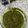 Ñôôri Màlîk's cooksnap of when they made Hari chutney.