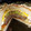 El cooksnap de Daiana Chauri cuando hizo Hamburpizza.