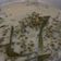 Cooksnap dari Melienda Permatasari untuk resep Bubur Kacang Hijau Madura