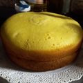 El cooksnap de Eugenia Tito cuando hizo Bizcochuelo Exquisita XL muy fácil en olla Essen.