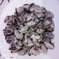 El cooksnap de Paco Temporal cuando hizo Coquinas o tellinas con ajo, perejil y vino.
